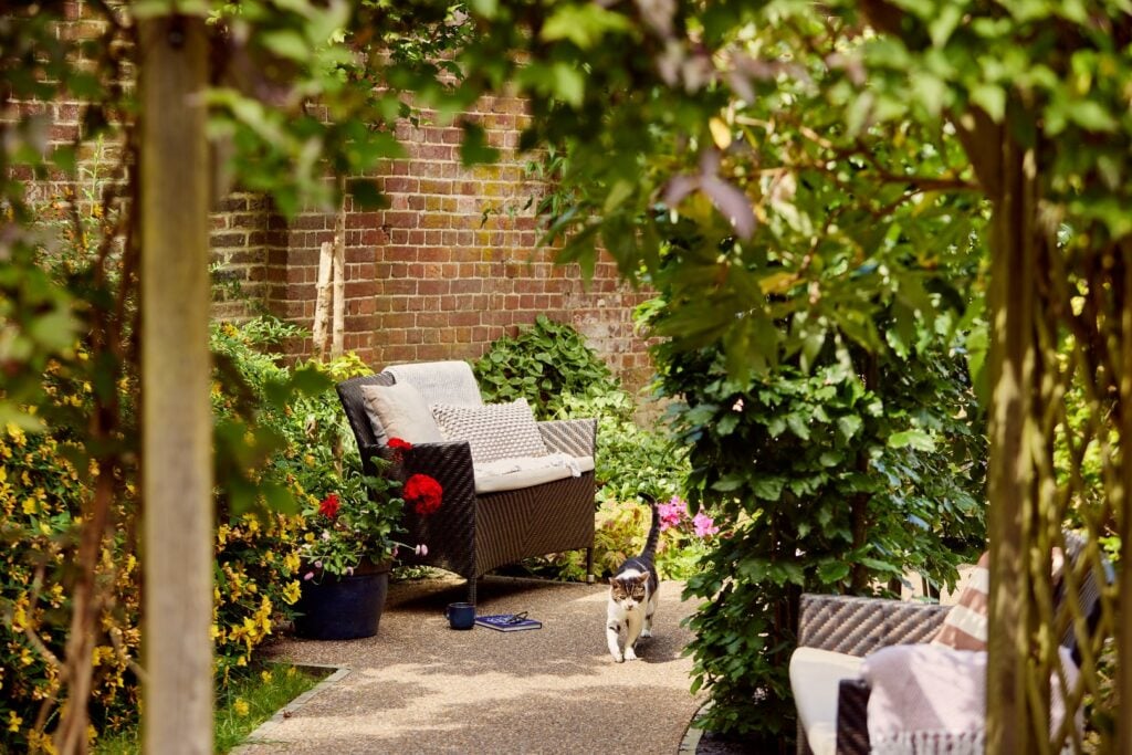 Cosy garden seating with a cat