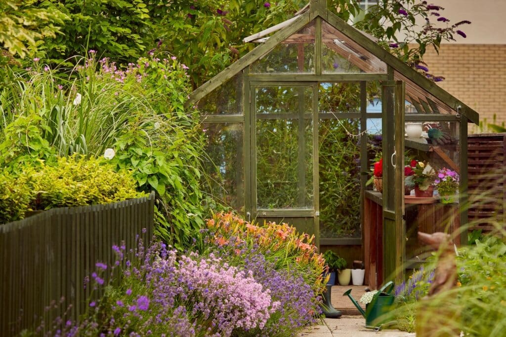 Greenhouse surrounded by colourful garden flowers and plants