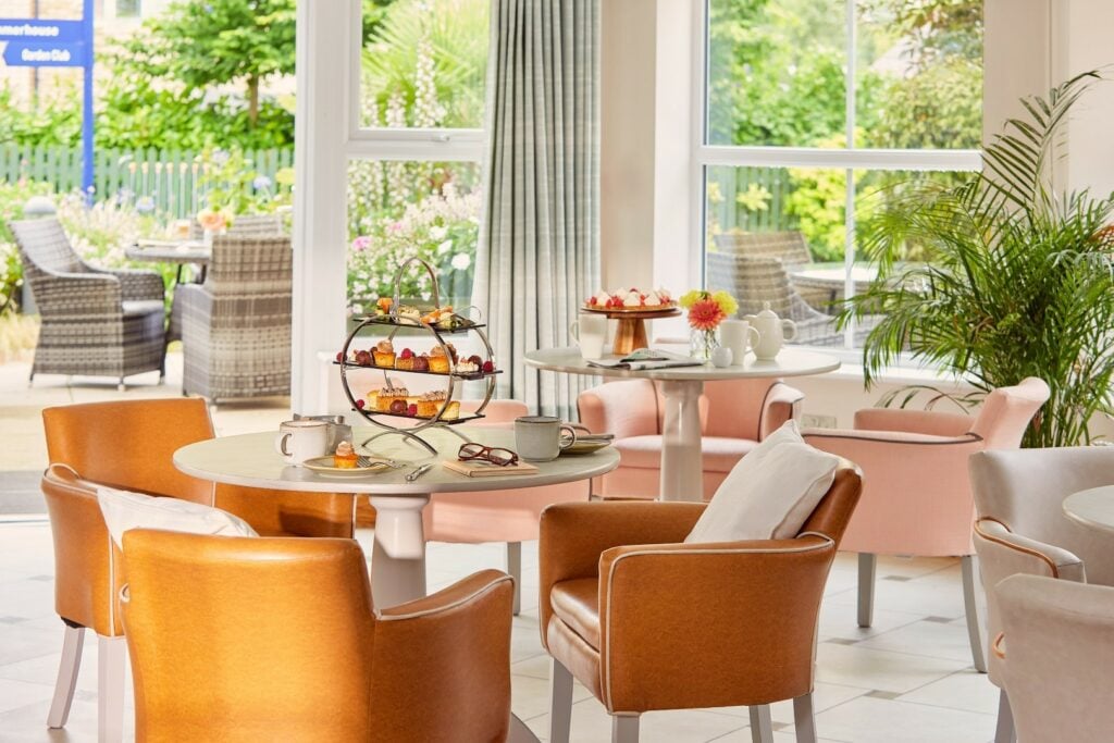 Cosy afternoon tea in a bright indoor garden.