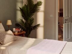 Cosy bedroom with plant and open bathroom door.