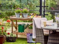 Cosy garden setup with plants and coffee cup.