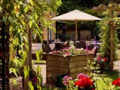 Outdoor garden seating area with colourful flowers.