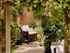 Cosy garden seating with a cat
