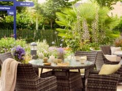Outdoor garden seating area with drinks and flowers.