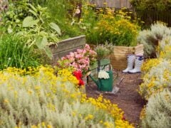 Colourful garden with flowers, tools, and wellies