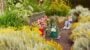 Colourful garden with flowers, tools, and wellies