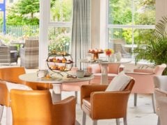 Cosy afternoon tea in a bright indoor garden.
