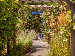 Garden club pathway with flowers and archway.