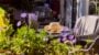Garden seating with lavender, hat, and refreshments.