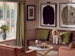 Cosy living room with dog and framed jackets