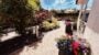 Sunny garden with colourful flowers and patio area.