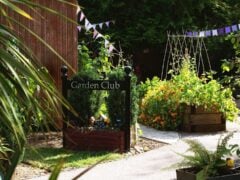 Garden club entrance with vibrant plants and bunting.