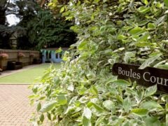 Lush garden with boules court and foliage