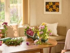 Indoor flowers arranged on wooden dining table