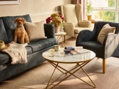 Cosy living room with dog on sofa