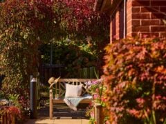 Sunny garden bench under arch with autumn leaves