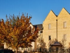 Autumn trees in front of stone building