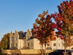Modern building with autumn trees and cars